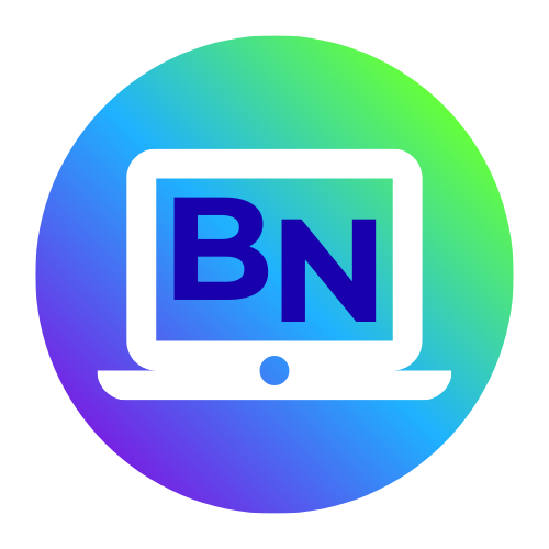 BizNeeds.pk logo